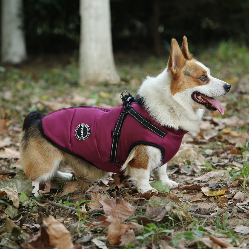 Fashion Pet Sweater Jacket